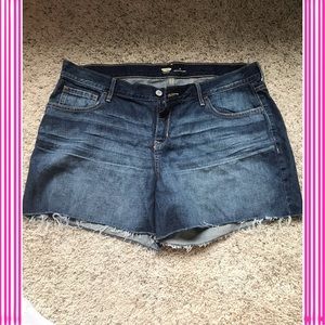 Jean Shorts Brand New
